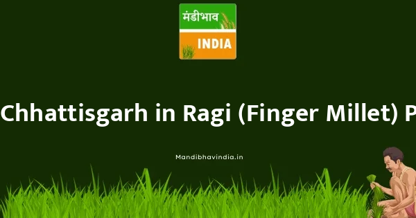 Ragi (Finger Millet) भाव